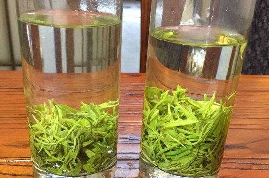 黃金茶的功效及禁忌癥，黃金茶有什么副作用嗎？