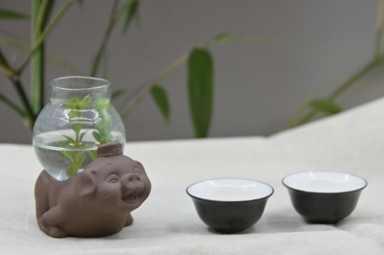 正確泡茶13個流程，新手從零開始學(xué)泡茶的步驟