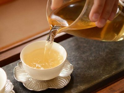 茶葉的專業(yè)知識，關于茶的基本知識大全