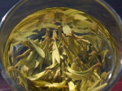 安吉白茶的功效與作用，簡(jiǎn)單概括安吉白茶功效