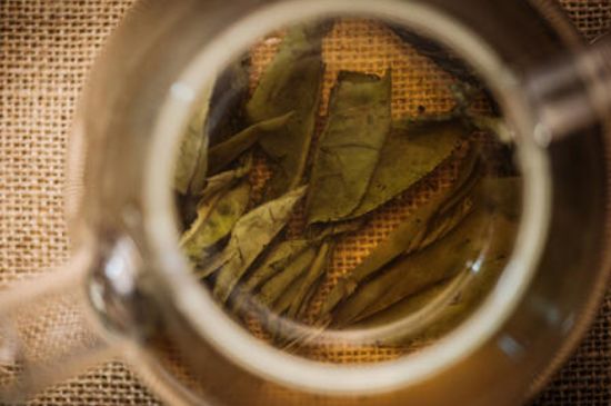 苦丁茶副作用，苦丁可以經(jīng)常喝嗎？