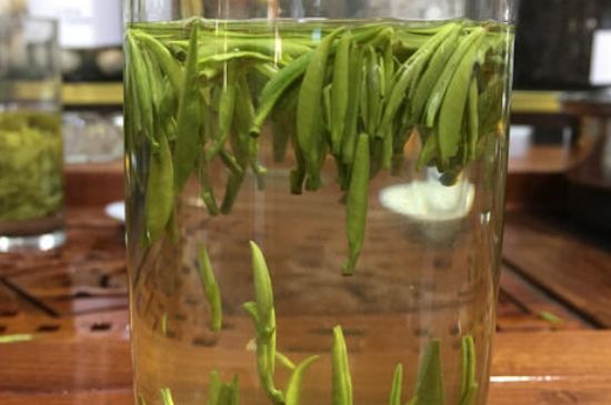 雀舌茶的副作用，雀舌茶什么人不能喝？