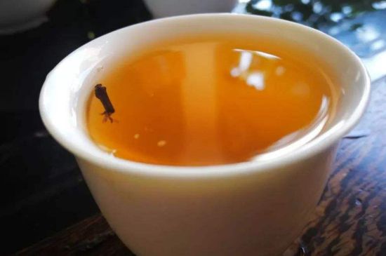 送茶葉的寓意，茶的象征意義