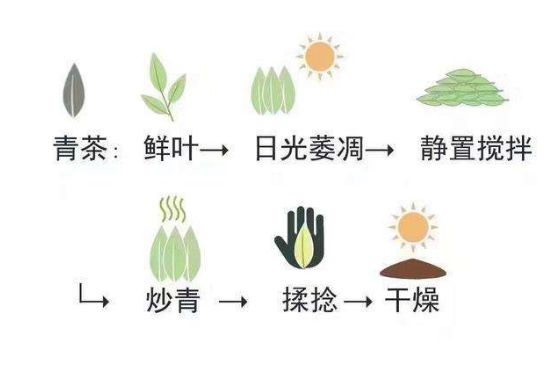 茶葉名稱大全和圖片，茶葉名字大全三四個字！
