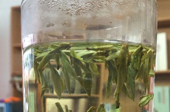煮茶器能煮龍井嗎，龍井茶能不能用煮茶器圖
