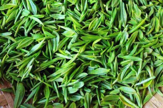 云霧綠茶的功效及禁忌，哪些人不適合喝云霧茶