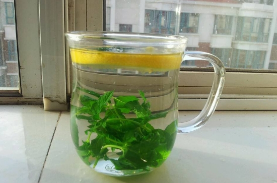 薄荷茶的功效與作用，喝薄荷茶有什么好處？