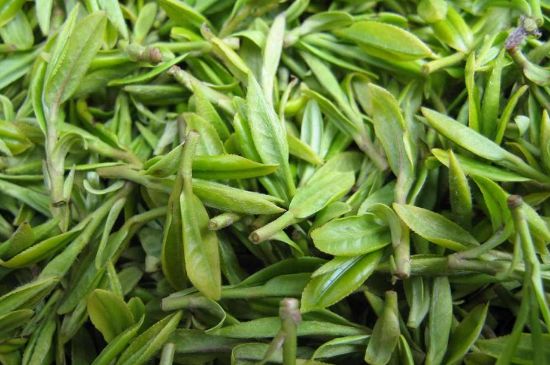 世界最貴的茶葉排行榜，十大最貴的茶