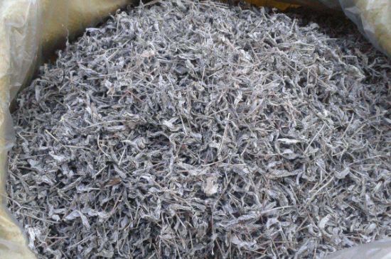怎樣辨別莓茶發(fā)霉了，莓茶發(fā)霉和白霜的區(qū)別