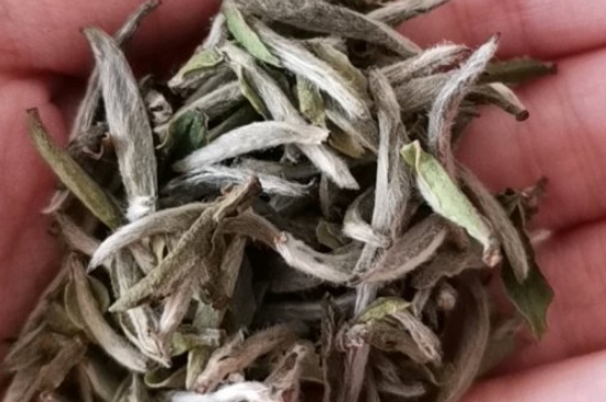 如何買(mǎi)茶葉不上當(dāng)，怎么買(mǎi)茶葉不被坑？