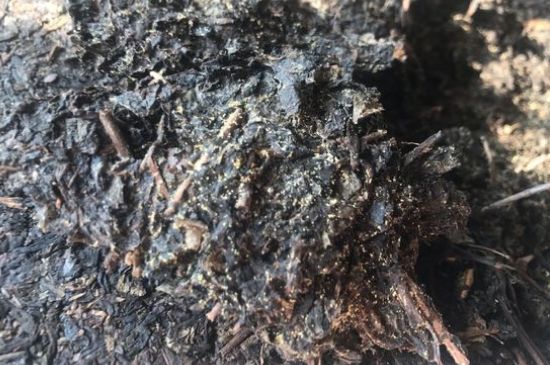 茯茶可以放在冰箱里存放嗎，茯磚茶如何儲(chǔ)存？