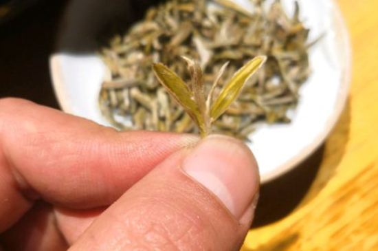 六大茶類哪種適合長(zhǎng)期存放，日常如何保存方法一覽？