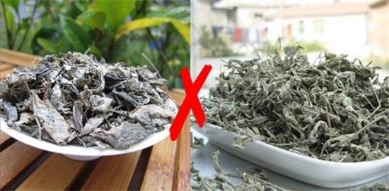 張家界茅巖莓茶與藤茶是同一種茶嗎，藤茶跟莓茶一不一樣？