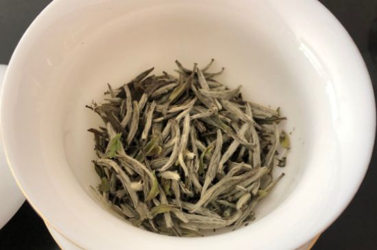春茶上市白茶的好壞怎么區(qū)分，春白茶怎么分辨好不好？