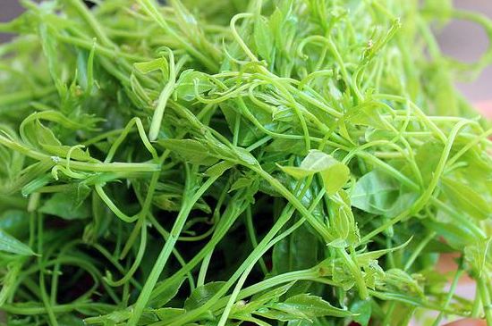 茅巖莓茶別名是什么，莓茶別名叫藤茶嗎？
