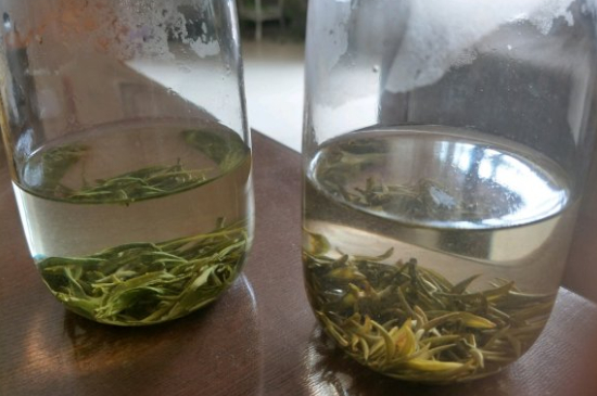 真假碧螺春泡水后區(qū)別，蘇州洞庭碧螺春怎樣鑒別好壞？