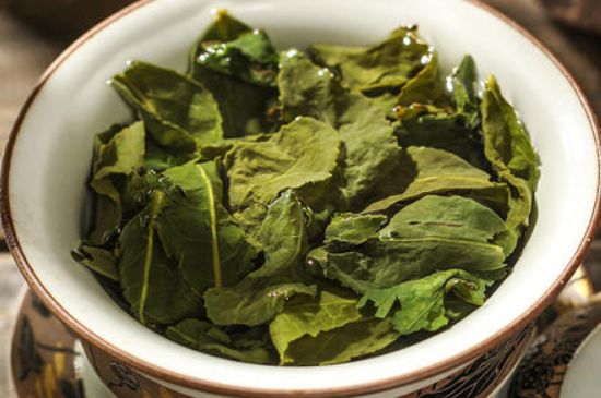陳茶還是新茶好，茶葉是新茶好喝還是陳茶好喝