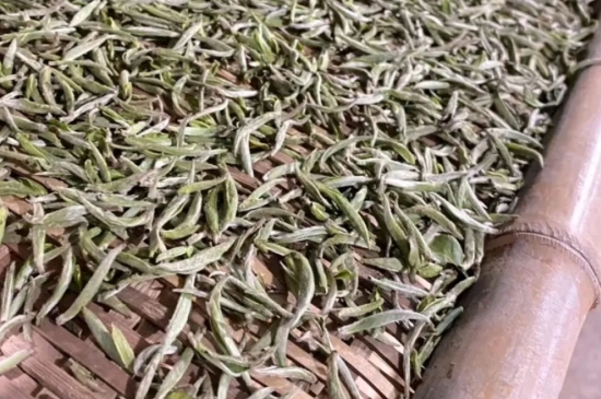 過期茶葉的八大妙用，過期的陳茶葉還能干什么用？