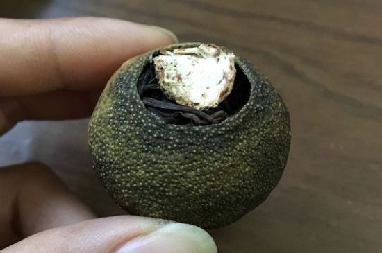 怎么知道小青柑是真的假的圖片，如何區(qū)分真假新會小青柑