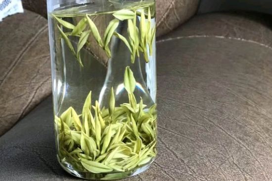 安吉白茶夏天怎么保存，安吉白茶能冷凍儲存嗎？