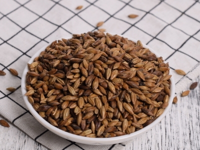 圓形顆粒狀茶是什么茶，像飼料一樣一粒粒的是什么茶？