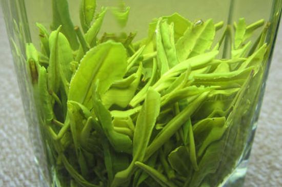 哪種茶葉可以放冰箱，哪些茶不能放冰箱？