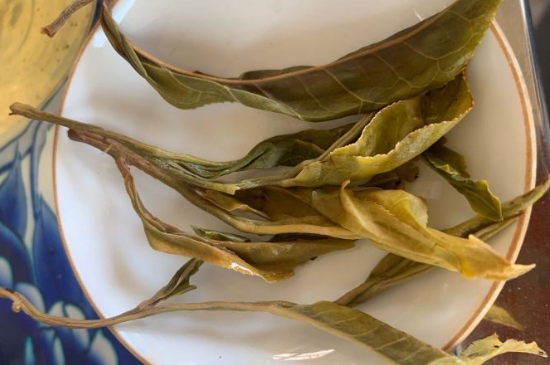 普洱茶十大學(xué)費(fèi)茶排名，吉普H是學(xué)費(fèi)茶？