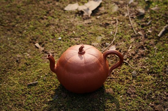 紫砂壺泡什么茶最佳，紫砂壺一般泡什么茶？