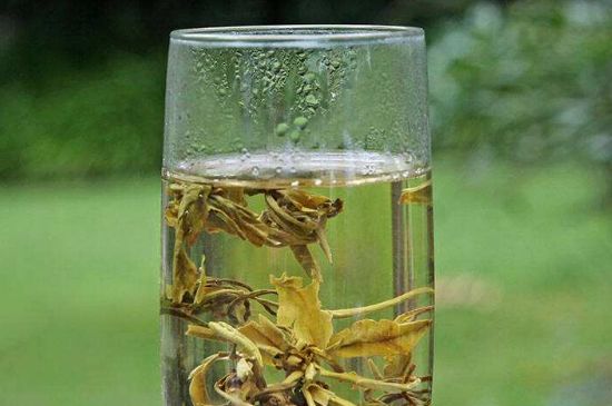 茉莉龍珠什么人不能喝，茉莉龍珠茶什么體質(zhì)不能喝？
