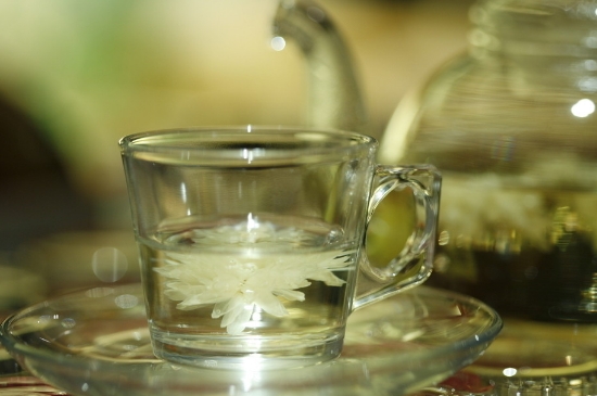 菊花茶天天喝行嗎，每天喝菊花泡茶喝好嗎？