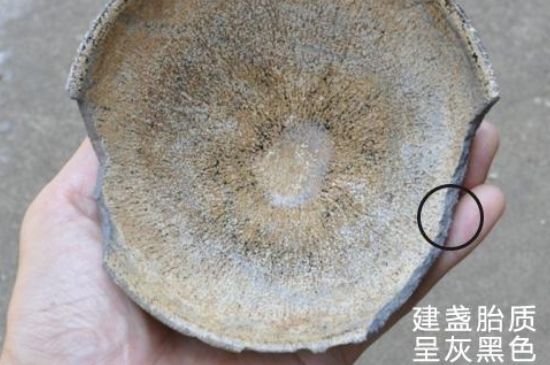 假建盞的特點(diǎn)，真假建盞區(qū)分帶圖