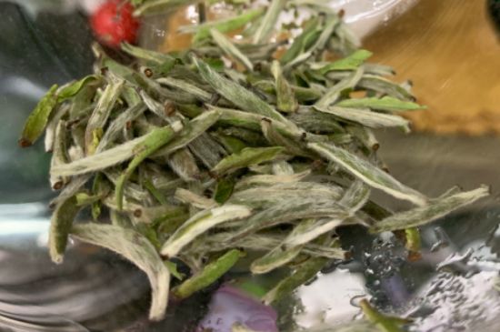 蒸汽煮茶器適合什么茶，蒸汽煮茶器適合用綠茶嗎？