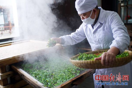 炒青綠茶與綠茶的區(qū)別，烘青和炒青哪個好喝？
