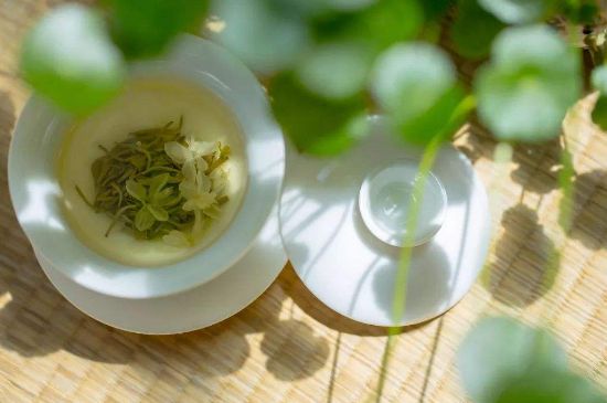 茉莉花茶6種人不要喝，什么體質(zhì)不適合喝茉莉花茶？