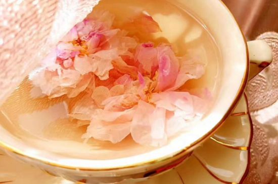 玫瑰花茶一周喝幾次，玫瑰花茶可以天天喝嗎？
