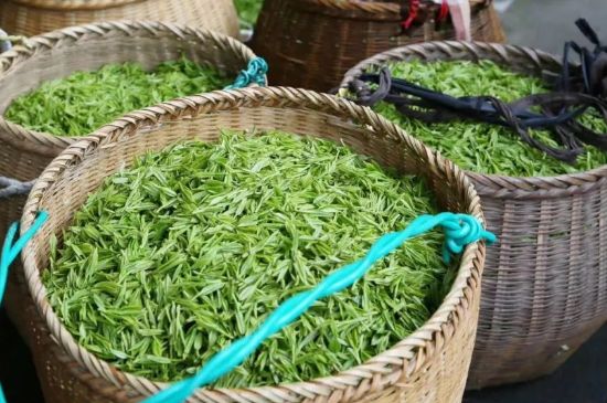 茶葉怎么炒制才香，怎樣炒茶葉更香？