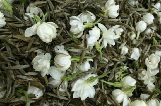 茉莉銀針口感，茉莉銀針是什么味道？