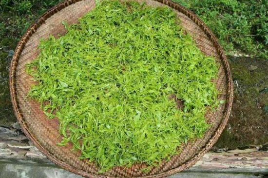 茅巖莓茶加工工藝，莓茶的工藝制作過程