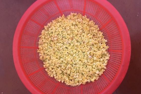干桂花茶的制作方法，怎樣自制桂花茶？