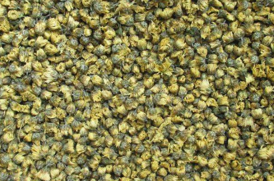 菊花茶大朵小朵有什么區(qū)別，菊花喝大朵還是小朵？