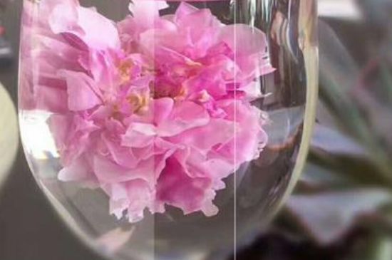 干玫瑰花泡水放幾顆，玫瑰花泡水一次放幾朵？