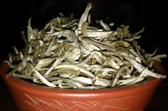 茉莉花茶6種人不要喝，什么體質(zhì)不適合喝茉莉花茶？