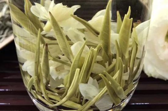 茉莉花茶分類，茉莉花茶都有什么種類