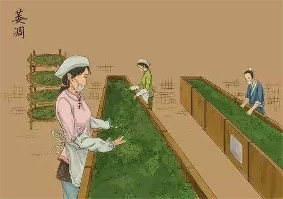 制茶八步驟，制茶工藝流程圖