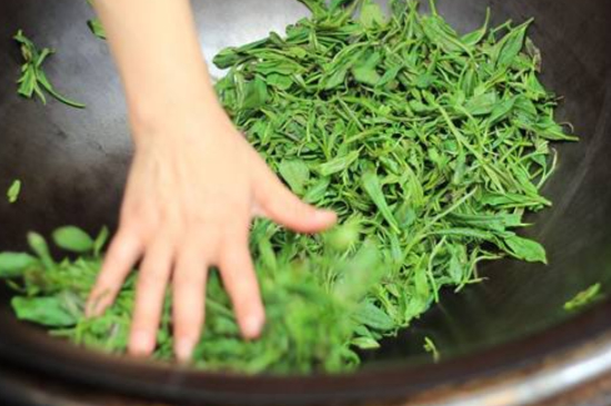炒青綠茶與綠茶的區(qū)別，烘青和炒青哪個好喝？