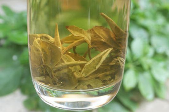 茉莉龍珠泡開后為什么都是梗，茉莉龍珠泡開后什么樣？