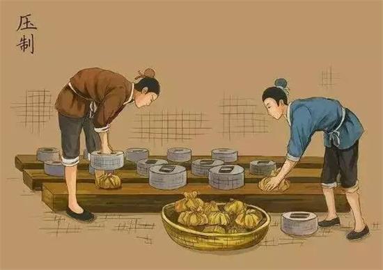 制茶八步驟，制茶工藝流程圖