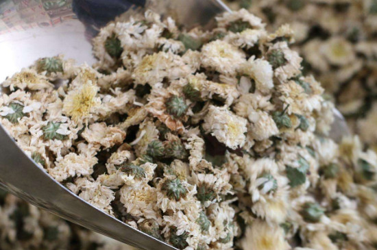 菊花茶買小朵還是大朵，泡茶用的小菊花和大菊花哪個(gè)好