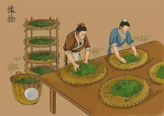 制茶八步驟，制茶工藝流程圖