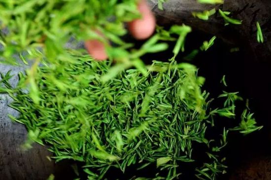龍井茶炒茶葉怎么炒出好茶色，茶葉怎樣做出來最綠？